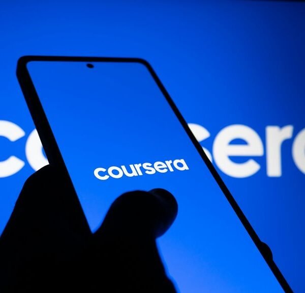 comprehensive digital brand management