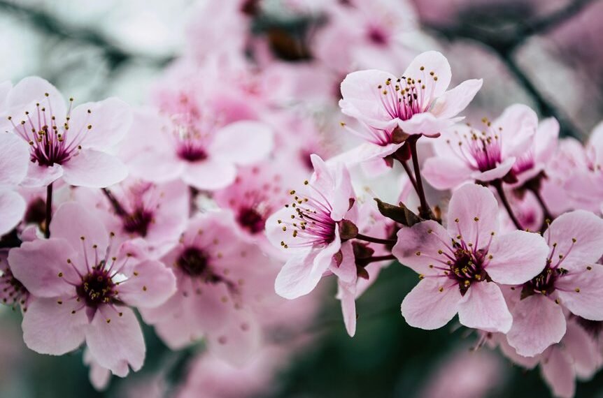 digital growth solutions provider