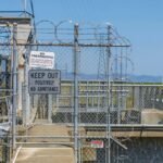 trusted website authority building